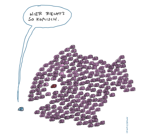 meltplatz